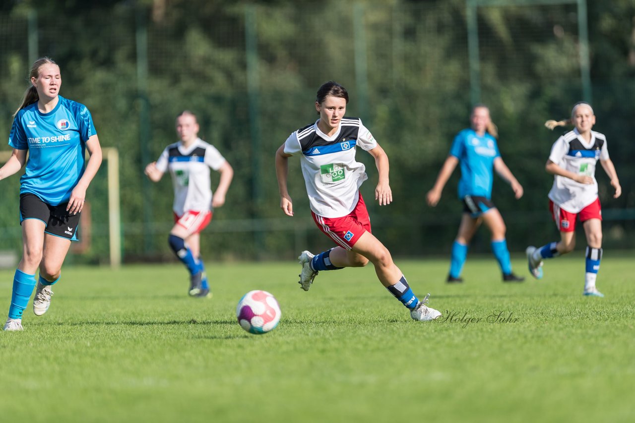 Bild 202 - wBJ VfL Pinneberg - Hamburger SV 2 : Ergebnis: 1:3